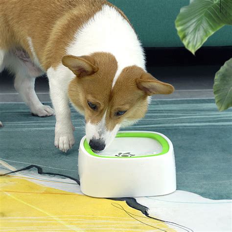 dog water bowl spill proof